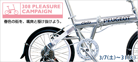 308プレジャー キャンペーン セクション1