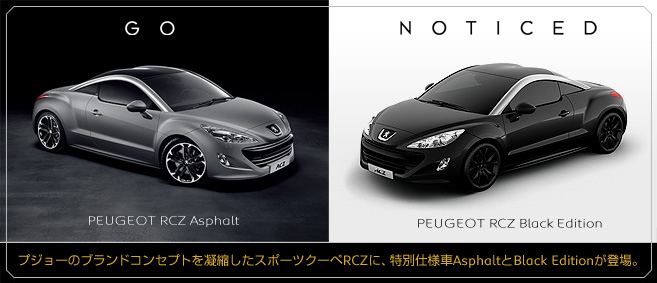 RCZ Asphalt & Black Edition_セクション1