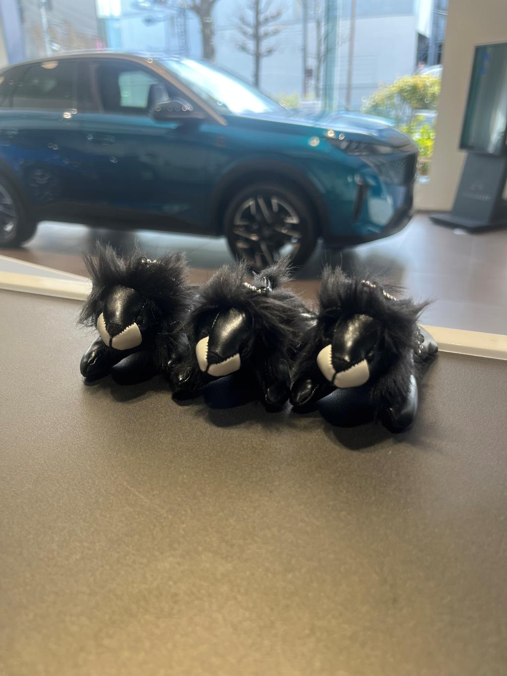 プジョーライオン届きました