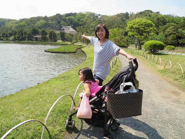 プジョー目黒 三渓園 根岸森林公園