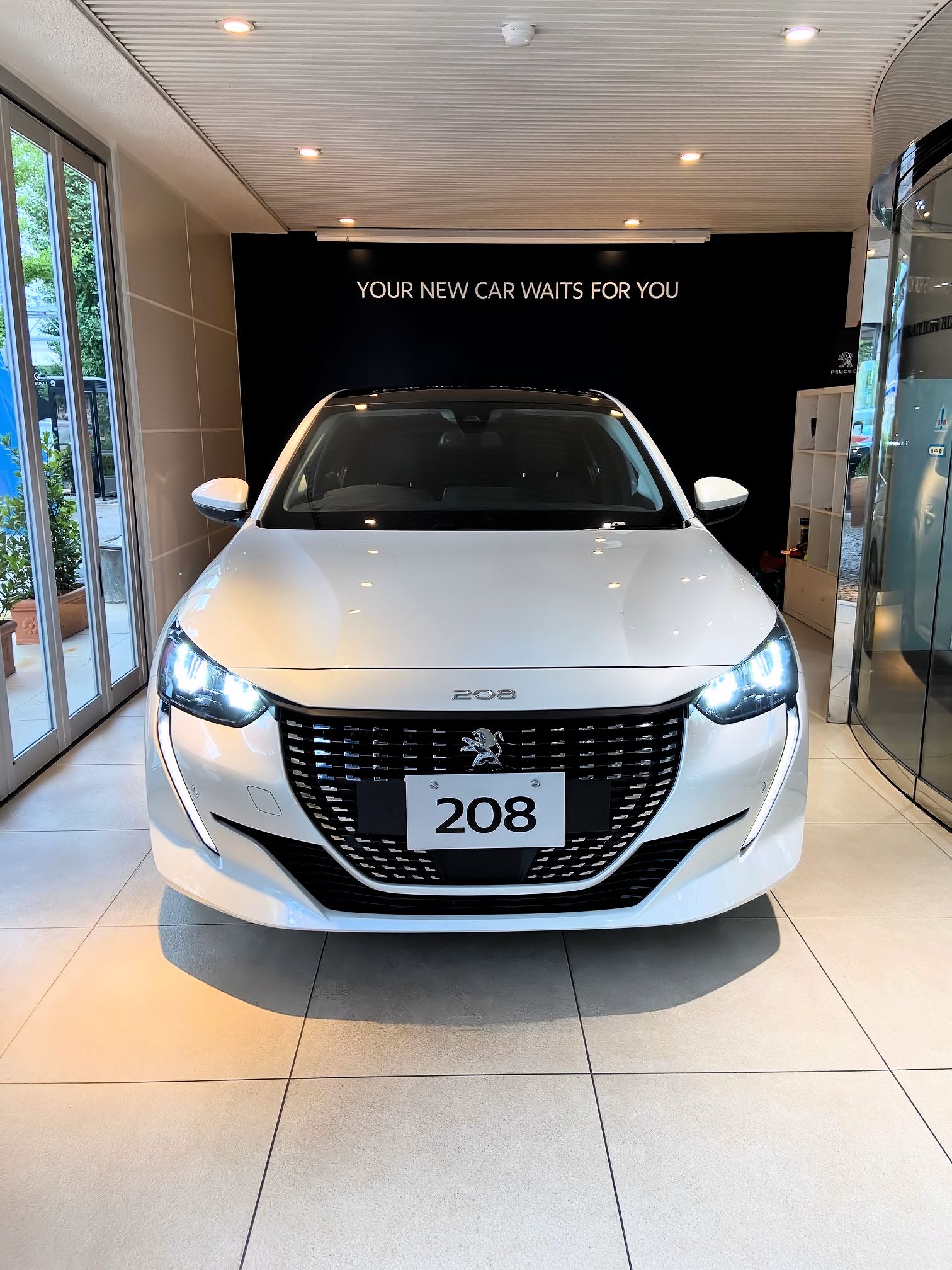 NEW208のご試乗車（兼展示車）と入荷のご案内